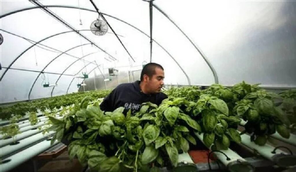 MyGreenBucks Kenneth Jones