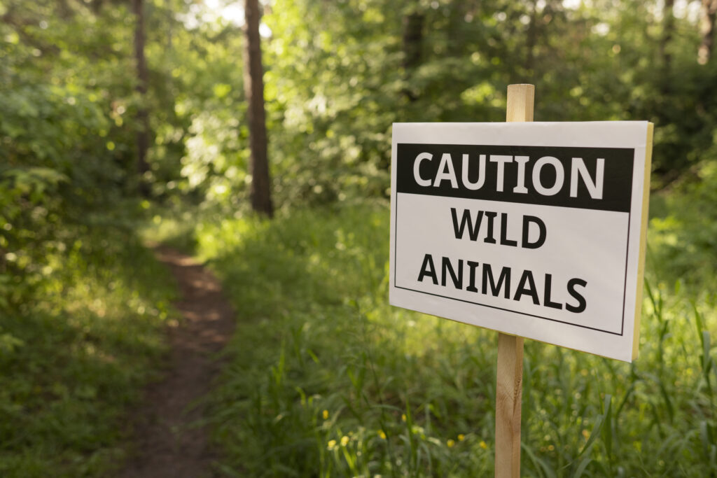 Effective Strategies for Humane Wildlife Removal