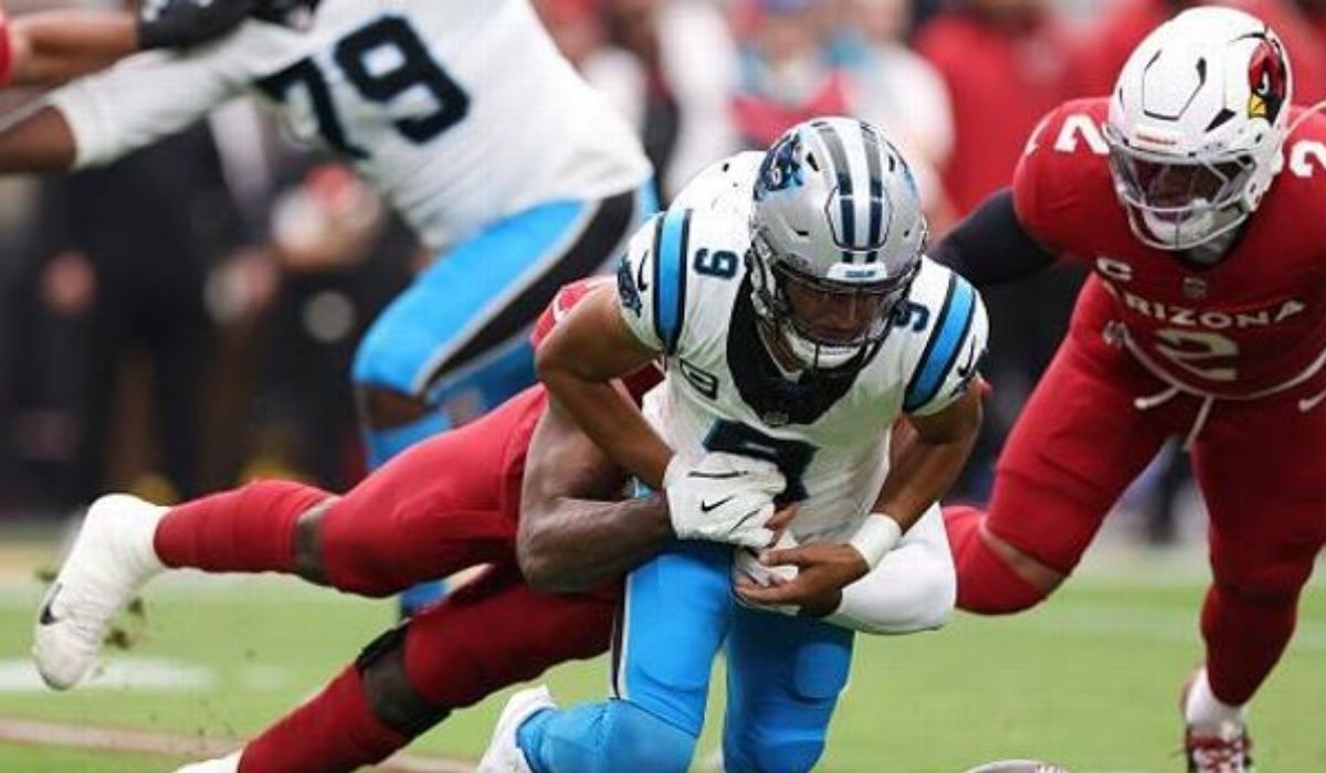 carolina panthers vs arizona cardinals match player stats