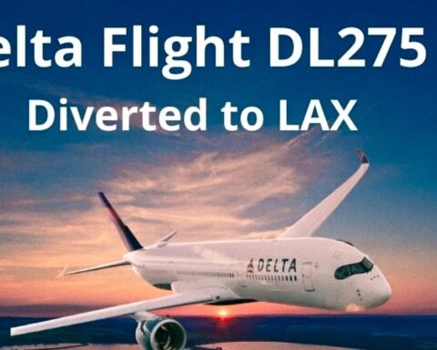 delta flight dl275 diverted to lax