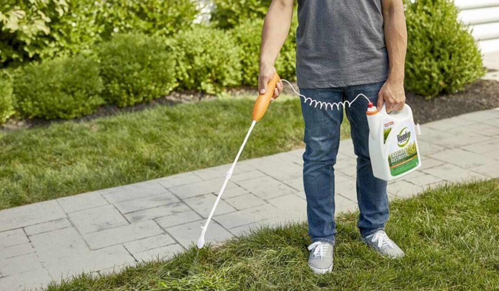 best weed killer for lawns