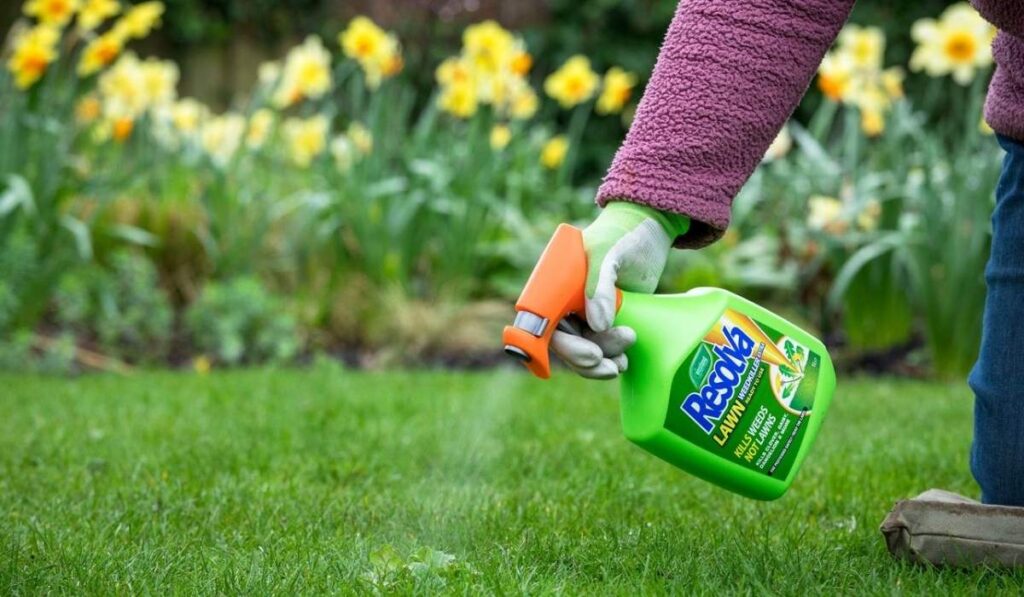 best weed killer for lawns