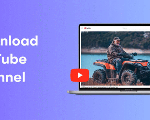 Professional YouTube Channel Downloader Guide