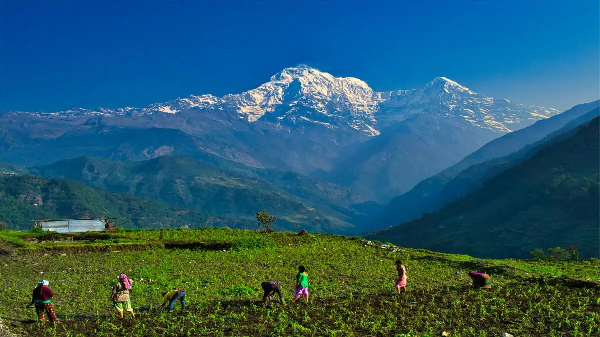 Budget Guide to the Mardi Himal Trek in Nepal