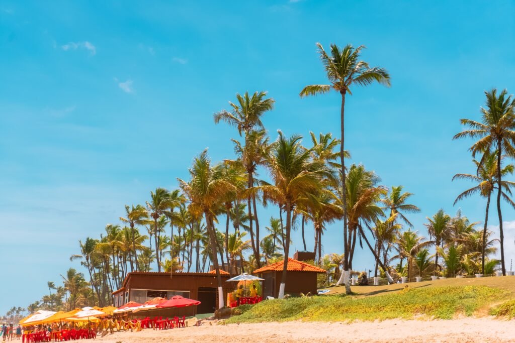 The Ultimate Checklist for Your First Tropical Island Vacation