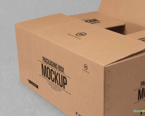 Carton Box Packing